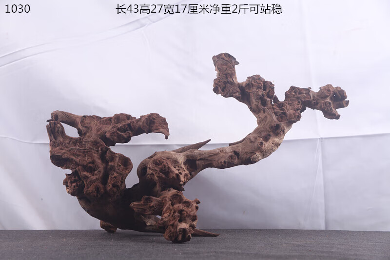 e70042285472f5ae.jpg
