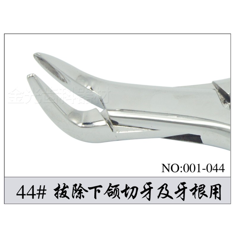 上海伟荣拔牙钳不锈钢通用智齿牙根磨牙钳子牙科口腔器械151拔除下颌