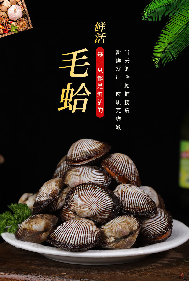 鲜活速冻毛蚶新鲜蛤蜊毛蛤血蛤大毛蚶海毛蛤干净无沙贝类批发2斤