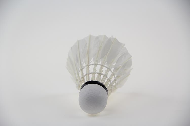 2022新款美狮龙羽毛球3只装6只12只耐打王运动用品训练用羽毛球一个顶