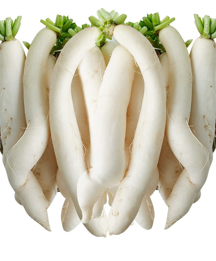 福建漳州农家种植南方细长白萝卜新鲜水份多不发糠蔬菜小萝卜5斤 2.