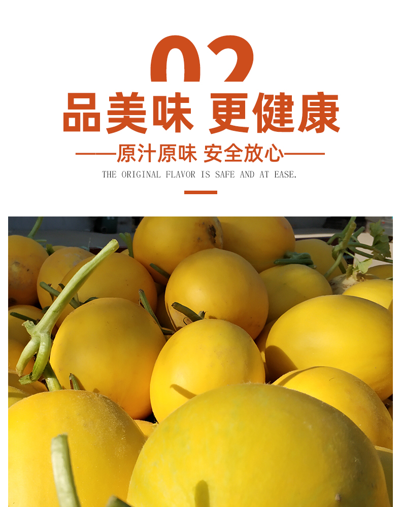 现货陕西黄河蜜瓜新鲜水果阎良甜瓜黄金黄心脆香瓜哈密瓜整箱10斤