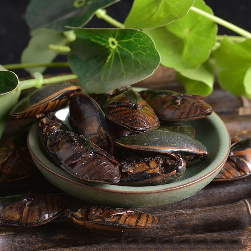 龙虱 中药材 500g 100g【图片 价格 品牌 报价】-京东