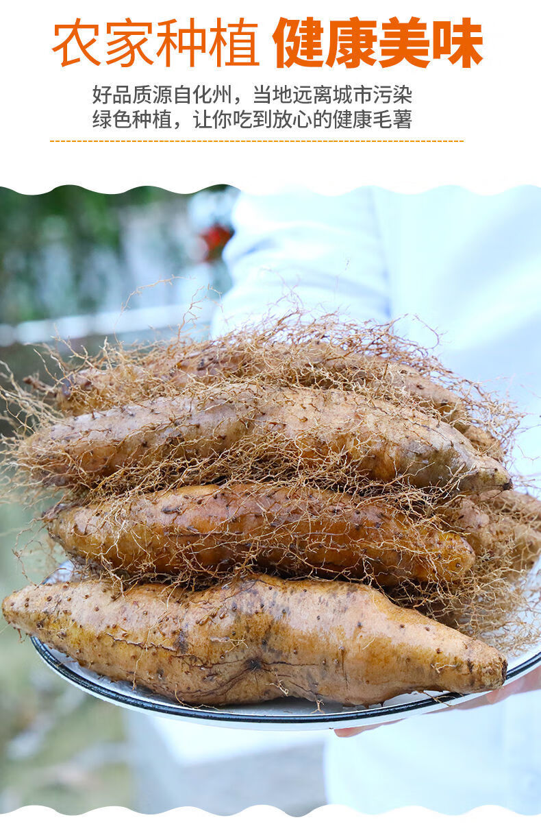 广东新鲜毛薯火苕脚板薯猪仔薯田薯粉糯香野山药茂名特产甜薯 超值:5
