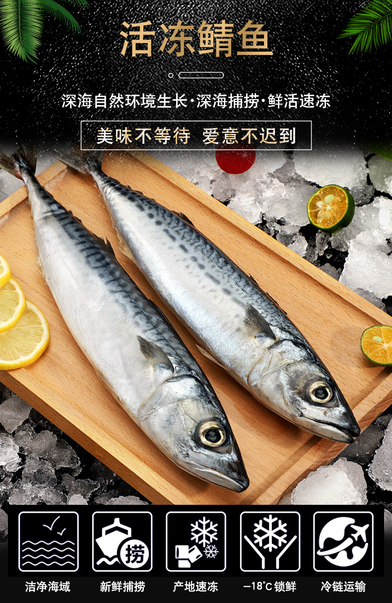 鮮博彙海捕冷凍青花魚鮁魚300200g一條馬鮫魚鯖魚鮐魚3斤裝57條鯖魚