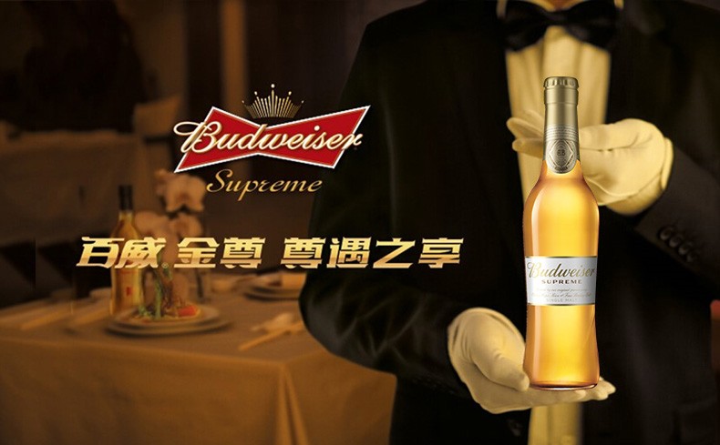 budweiser百威金尊啤酒330ml10瓶配2个百威啤酒杯组合整箱