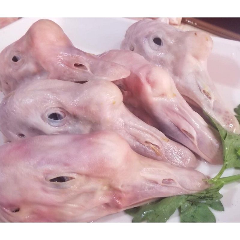 装大鹅头黑龙江特产新鲜冷冻东北农家散养老鹅头1000g