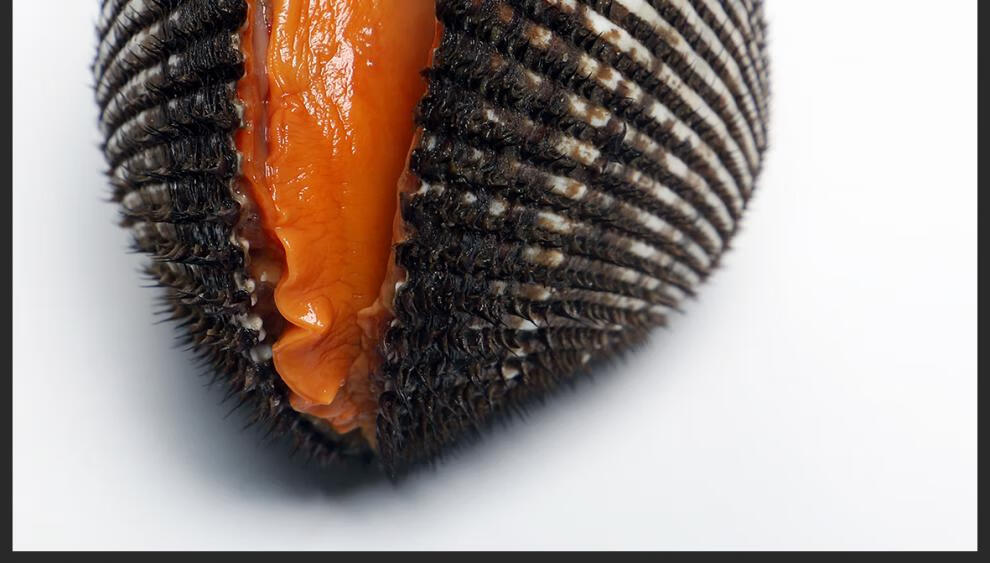 【包活】大连赤贝海鲜水产贝类鲜活新鲜大毛蚶野生毛蛤血蛤日料刺身