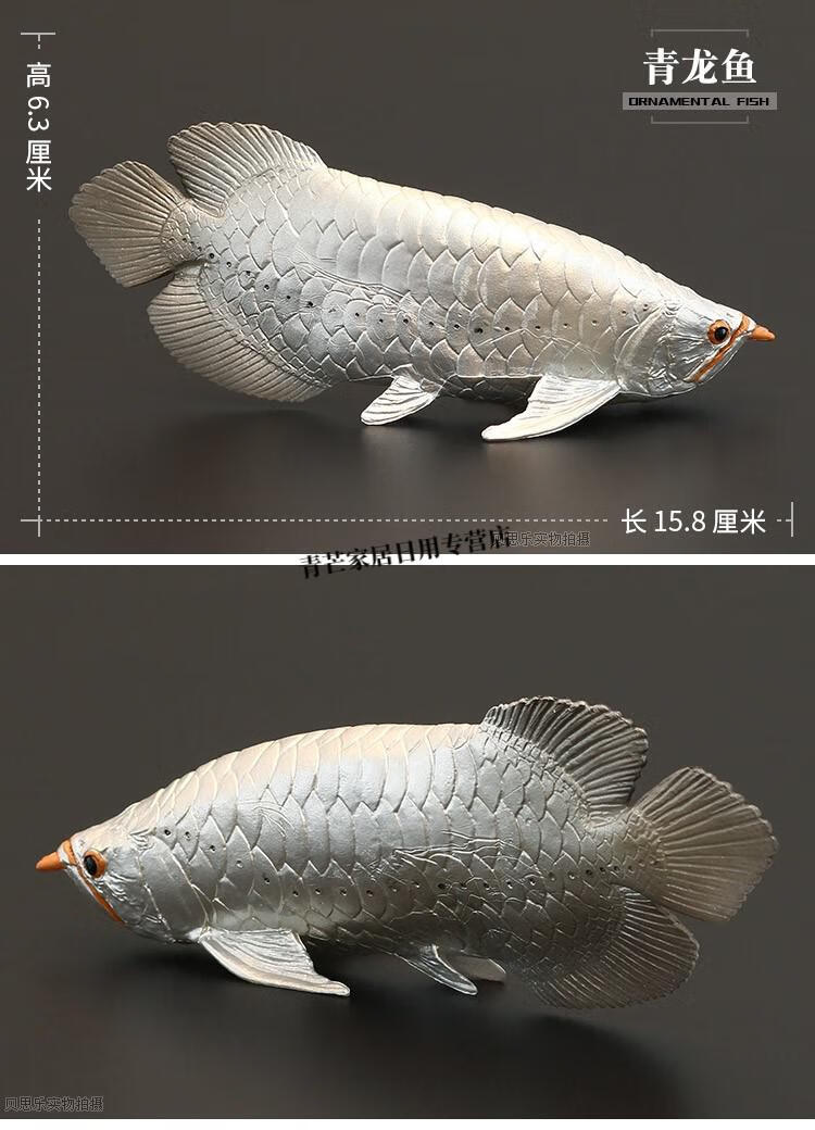 雀鱔鱷觀賞魚 實心仿真動物模型玩具觀賞金龍魚巨骨舌魚錦鯉鱷雀鱔