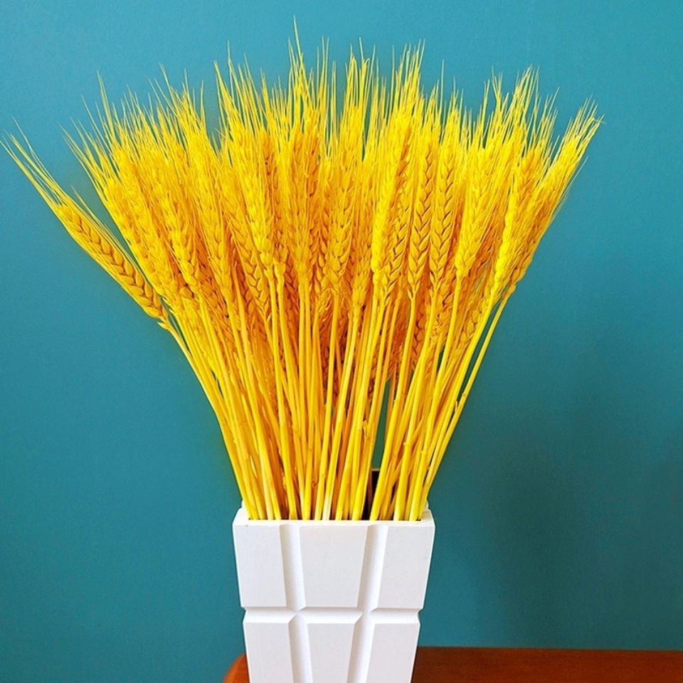 大麦金色天然麦穗干花花束开业小麦插花篮店材料黄金田园装饰摆件