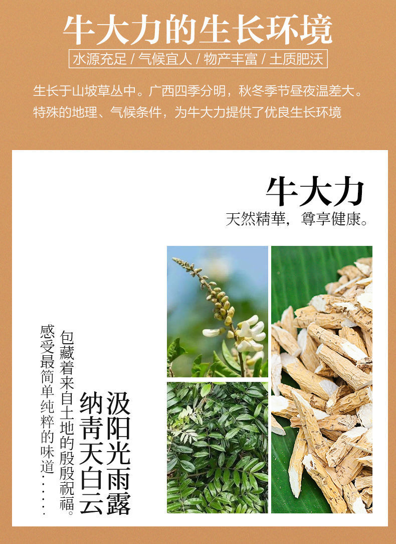 广西牛大力野生干货五指毛桃开边红莲芡实薏米玉竹煲汤料牛古大力金钟