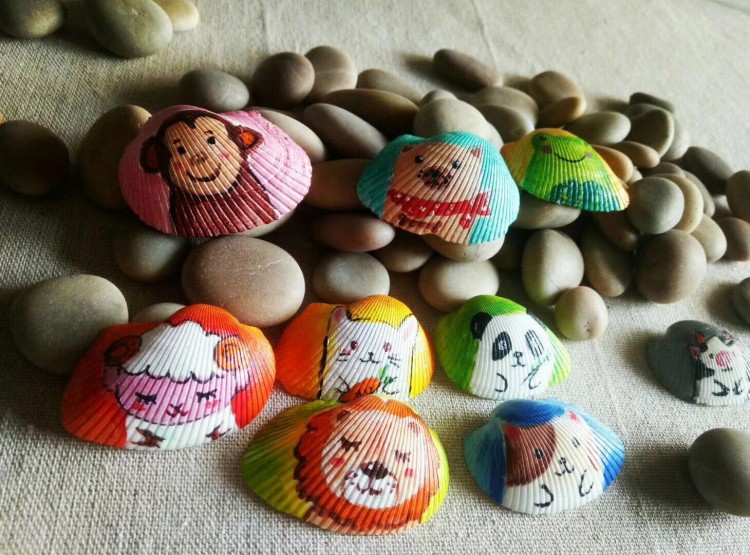 diy彩绘画涂鸦小号海螺烧烤幼儿园活动鱼缸天然特大白扇贝壳雪蛤贝