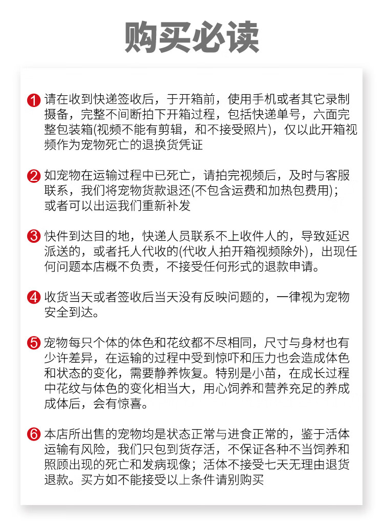 易萌活体爬宠两栖宠物青蛙蝌蚪绿黄金观赏活体非洲牛蛙退纹绿霸3 4厘米 图片价格品牌报价 京东