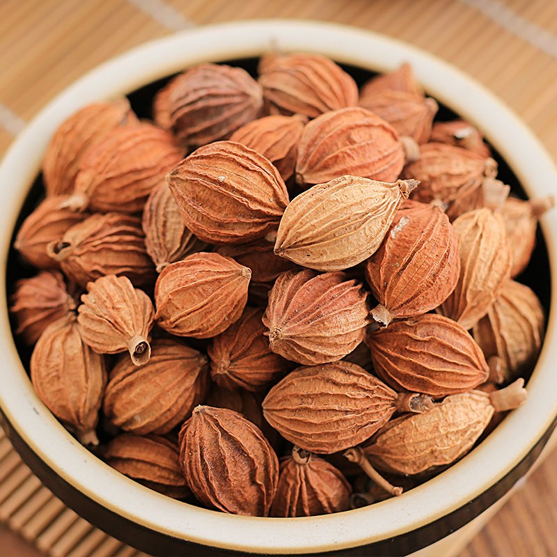 亳泽堂 香砂仁 500克 川砂仁香砂香料调料卤料中药材【图片 价格 品牌