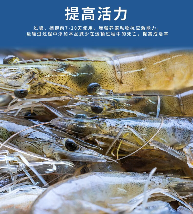 乳化虾青素南美白对虾海洋红酵母水产养殖海参甲鱼诱食剂亮色促生长素
