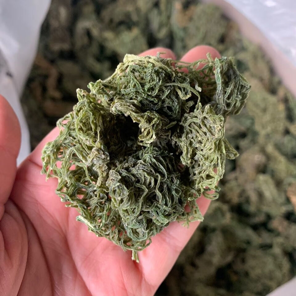 有仁堂海粉 中药材海粉 海兔粉 红海粉 海挂面 100克【图片 价格 品牌