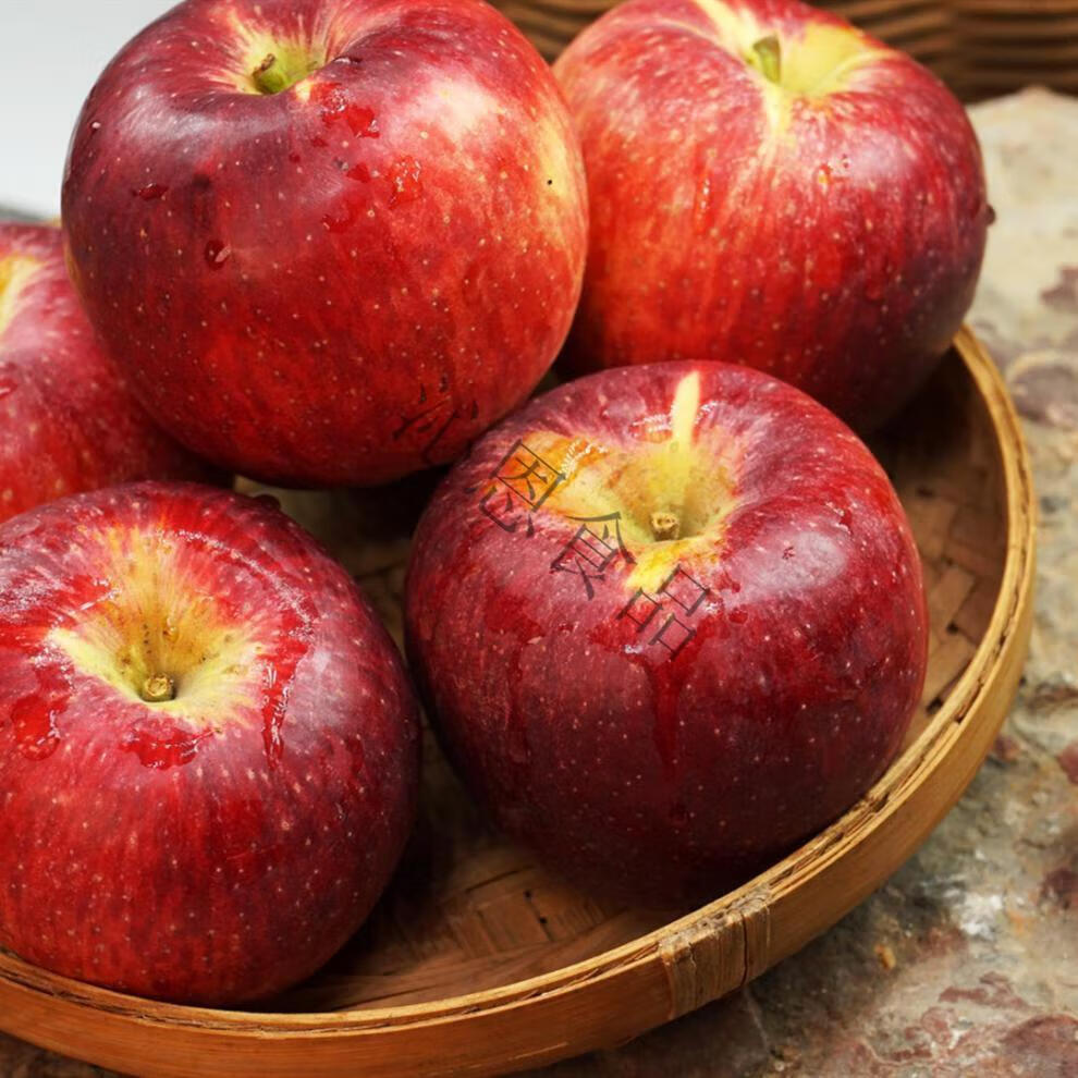 云南昭通高山红露5斤/8斤 新鲜水果 红露苹果大果5斤(9-12个)【图片