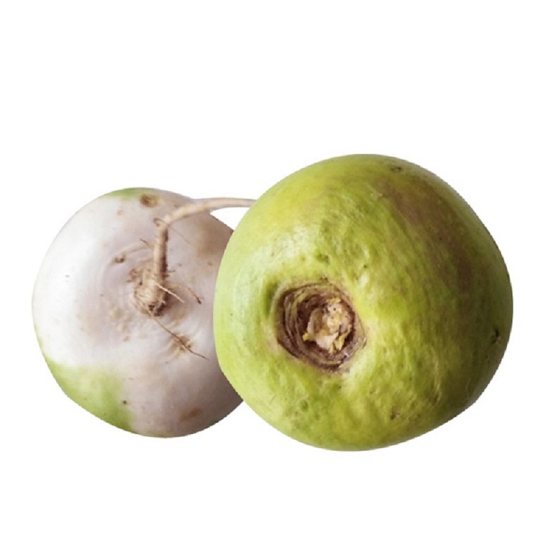 卜留克布留克恰玛古圆蔓菁种子芜菁蔬菜菜孑阳台春夏秋冬四季恰玛古5g