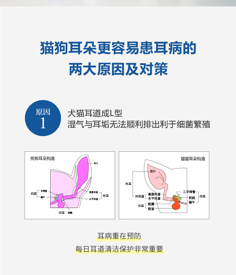 发德邦 Apdc漂漂耳日本进口超电解水宠物犬用洗耳液猫狗通用耳部清洁耳螨强力抑菌杀菌除臭清除耳垢滴管 250ml 图片价格品牌报价 京东