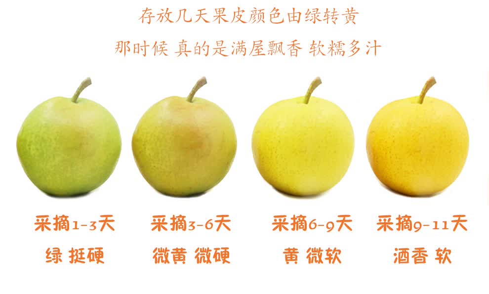 更多参数>>国产/进口:国产原产地:东北包装形式:简装品种:南果梨商品