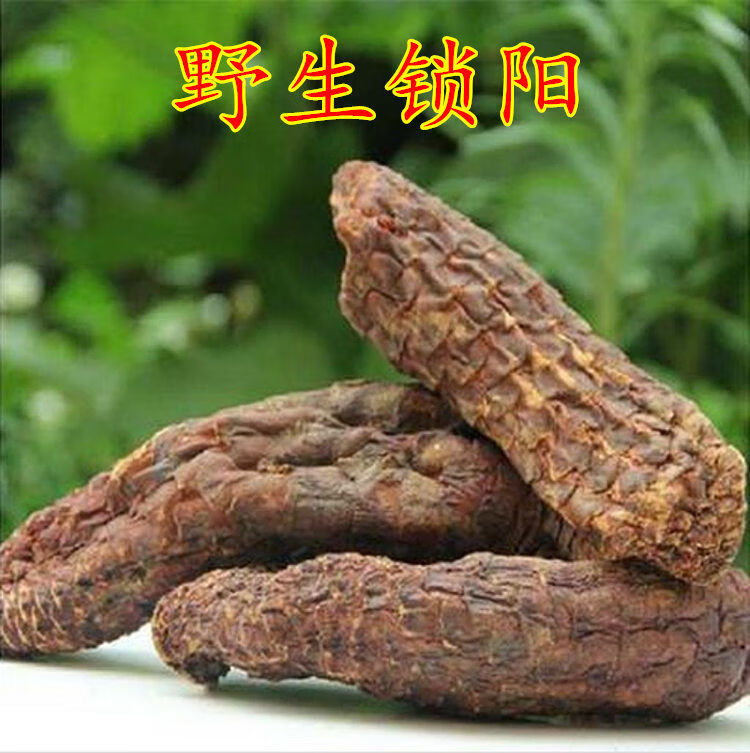 32味(雄霸十鞭)泡酒料男士滋补泡酒中药材袋装1000g