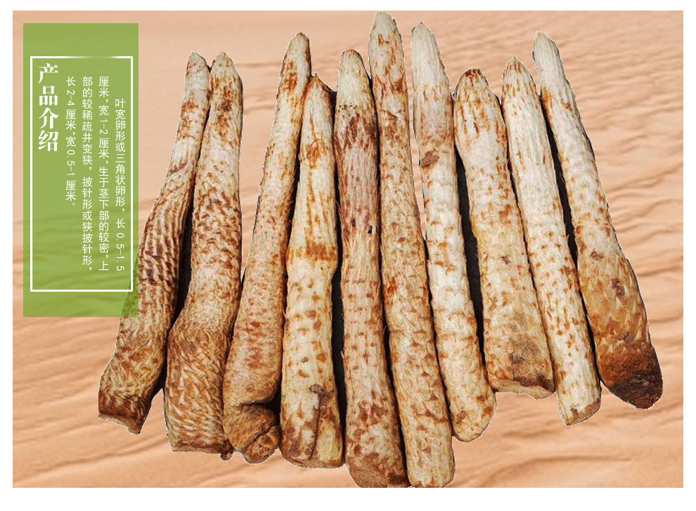 男士泡酒料泡茶可搭鲜大芸金锁阳淫羊藿玛卡人参 新鲜阿拉善肉苁蓉 约