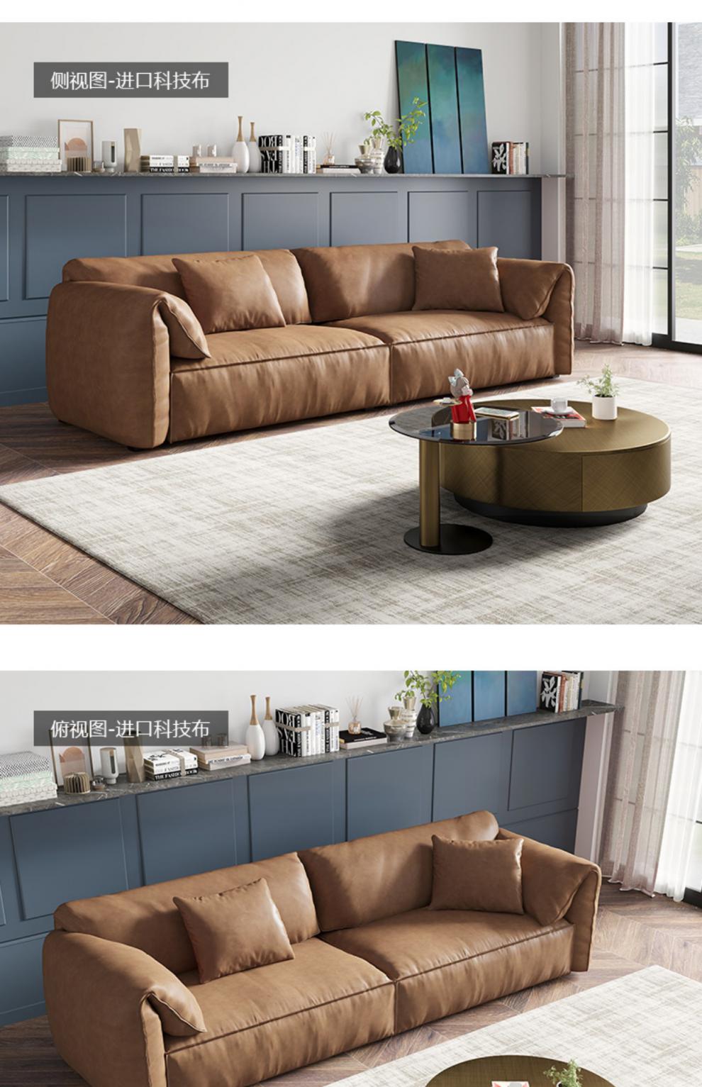 升级新特耐尔沙发双艺沙发客厅简约现代轻奢小户型欧式三美式网红 a款