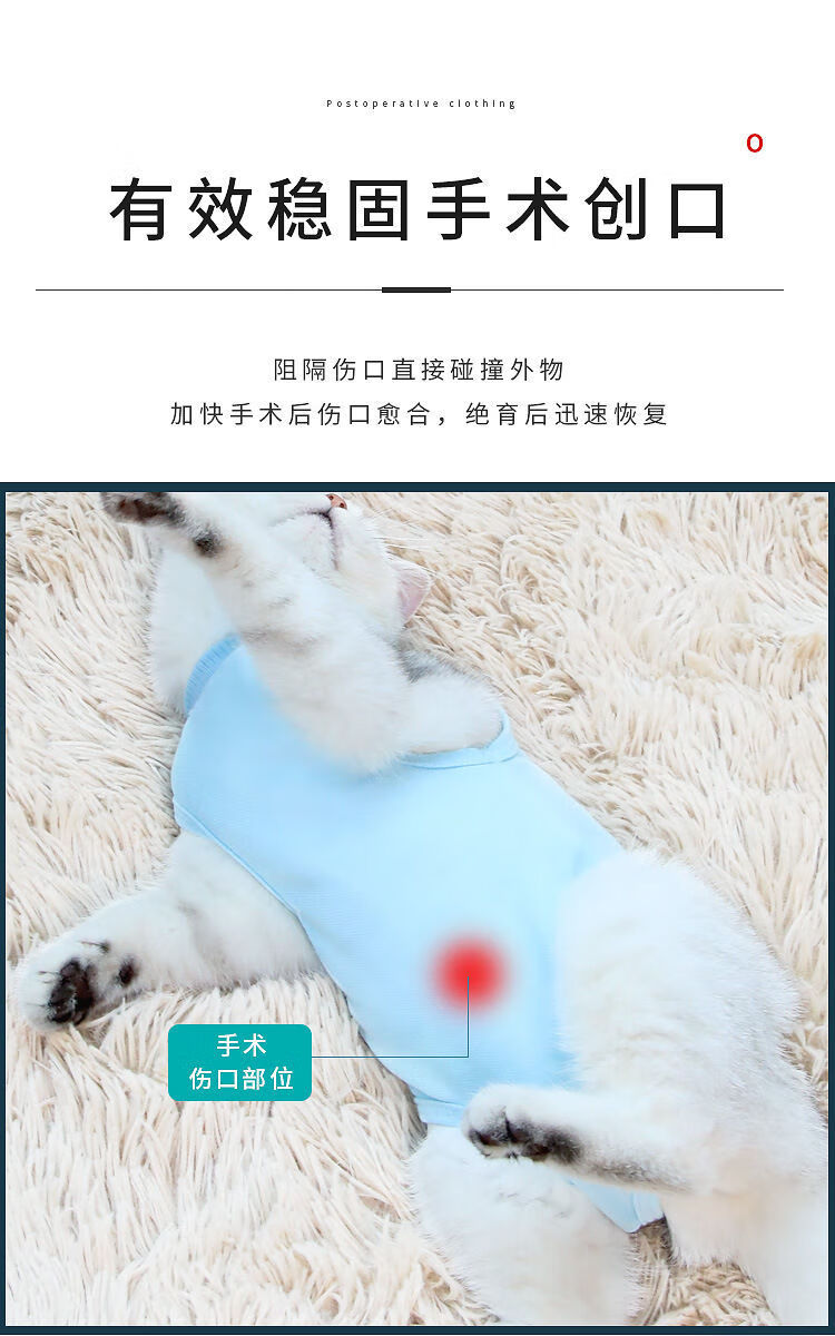 猫咪绝育服猫咪绝育服母猫绝育衣服手术服断奶服春夏季薄款小公猫术后