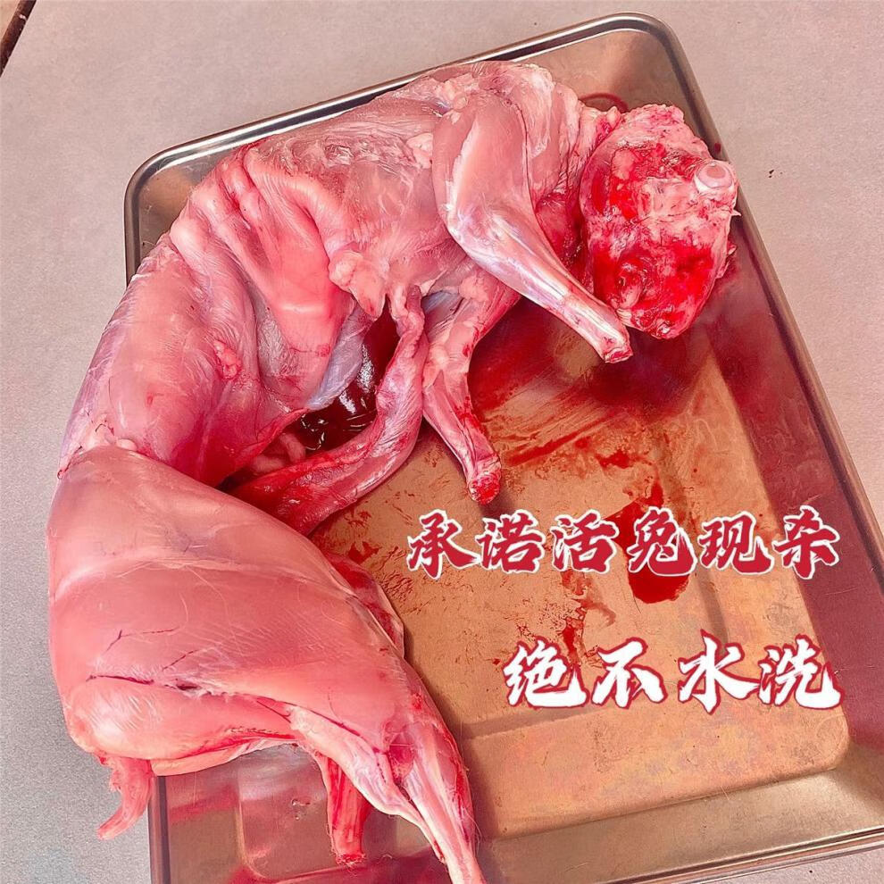 新鮮兔肉整隻現殺兔子肉鮮兔肉真空包裝2斤到6斤一隻速凍去兔頭3斤到