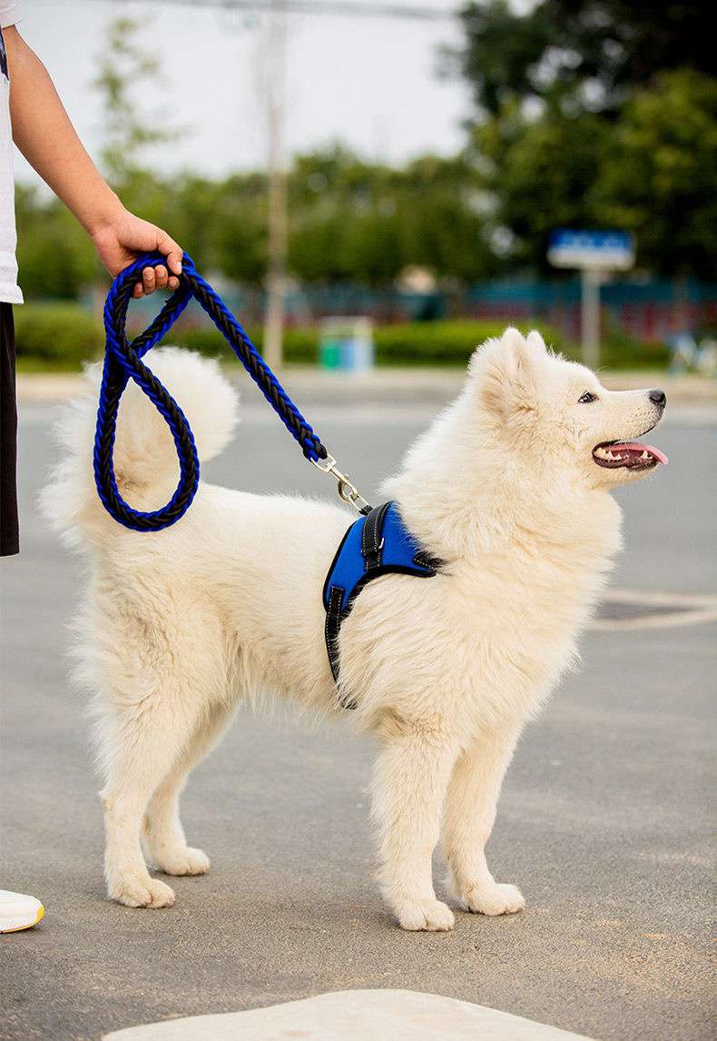 kosuer 狗狗牵引绳背心式遛狗绳边牧柯基中小型大型犬金毛胸背带宠物