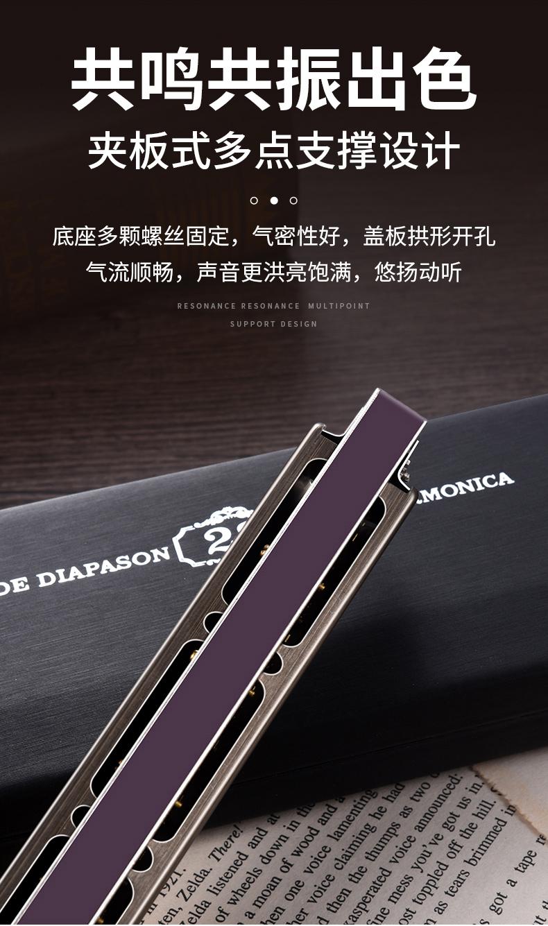 德国进口高端口琴德国原装进口音簧28孔复音口琴高端成人演奏级初学者