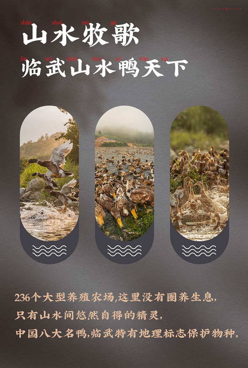 舜华临武鸭湖南特产送礼香辣整只鸭卤味整鸭熟食小吃零食鸭肉脯美食山茶油鸭460g 图片价格品牌报价 京东