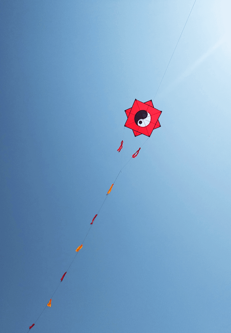 太极八卦风筝大型成人伞布树脂杆抗大风飘尾线轮套餐仅10米伞布黑色