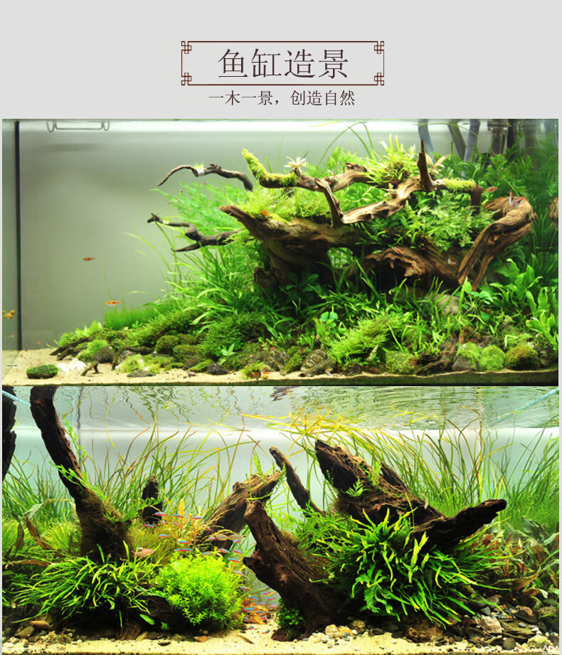 077be8a5fbf8b576.jpg