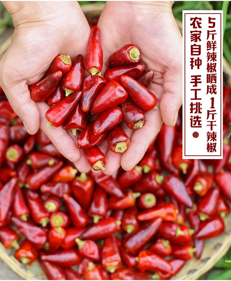 【泸县馆】四川农家子弹头中辣特香500g川菜调料麻辣香锅干辣椒