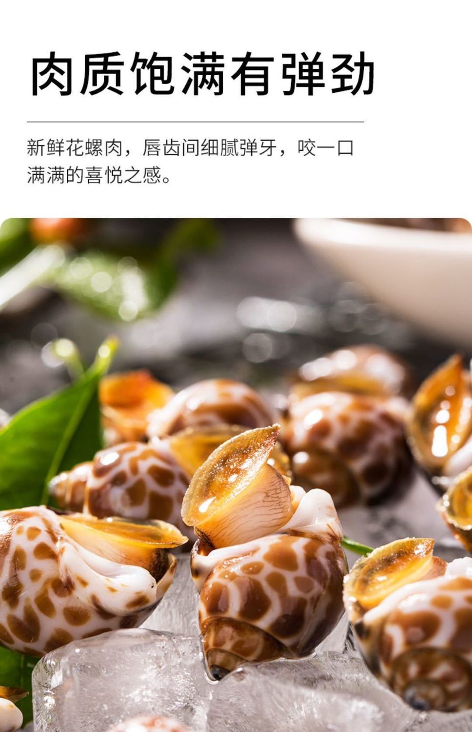 花螺鲜活冷冻新鲜海鲜螺类海螺香螺东风螺贝类大猫眼螺冰冻花罗4斤吃