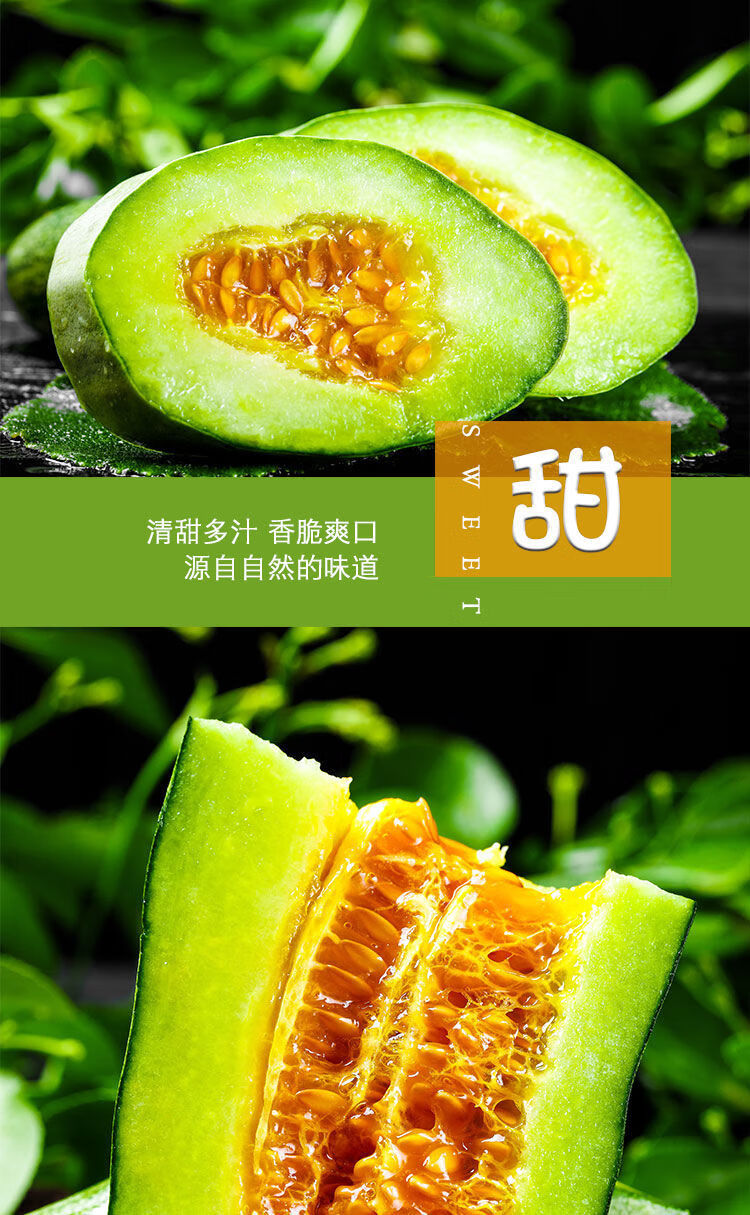 头茬精选现摘博洋9号甜瓜山东新鲜水果羊角蜜香瓜酥脆批发带箱约1斤一