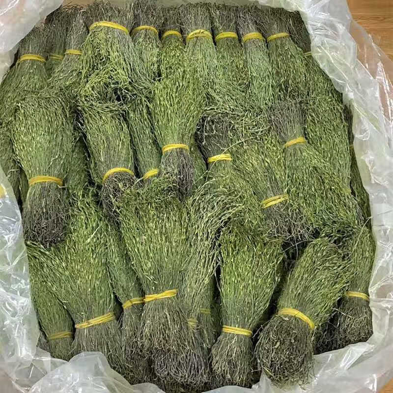 广西独脚金50克独脚柑 疳积草干货