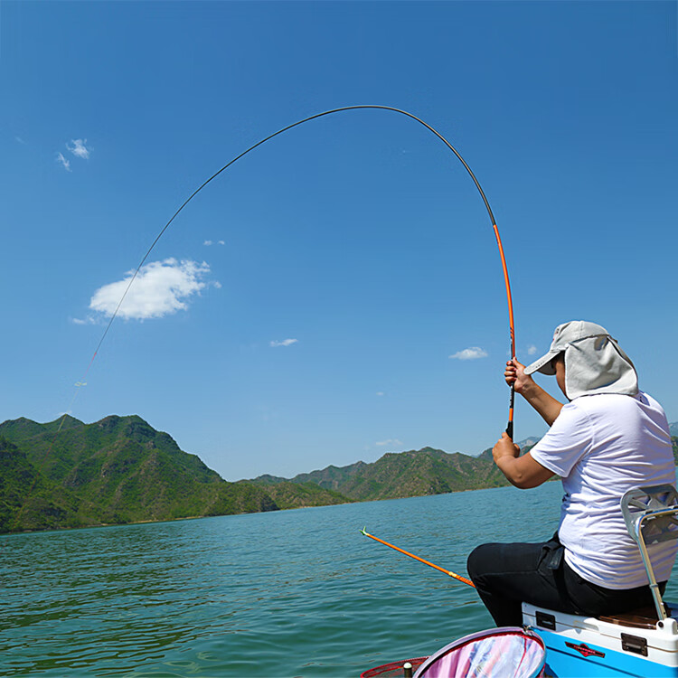 龙纹鲤鱼竿碳素钓鱼竿买一送一轻硬台钓竿长节手竿鲫鱼鲤鱼竿渔具套装