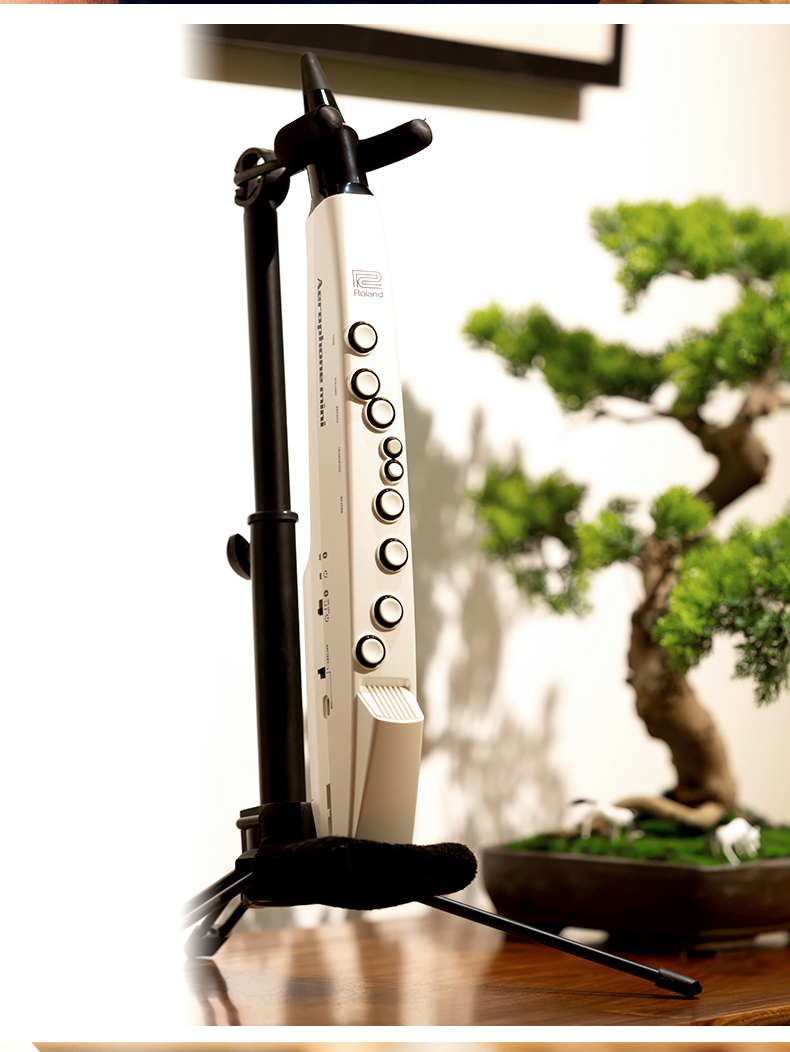 罗兰电吹管ae01cae05电子吹奏管乐成人儿童初学者电萨克斯竖笛ae01