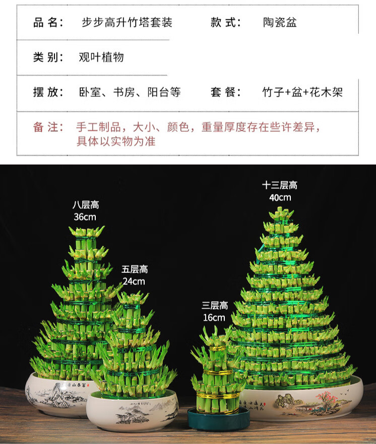 中梦竹塔富贵竹水培植物绿植盆栽水养室内办公桌节节高5层竹塔陶瓷盆