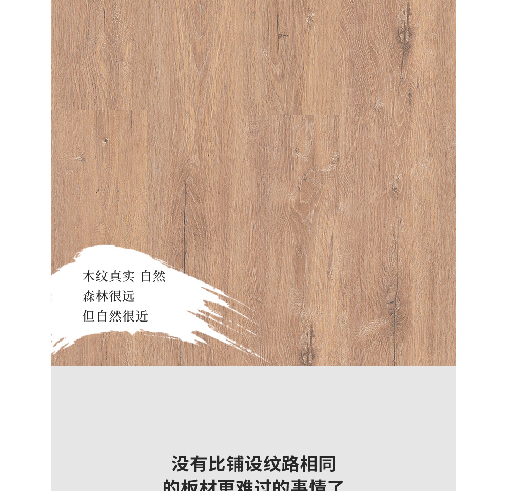 必美地板比利时进口宝地雅纯木复合地板家用环保耐磨轻奢地暖地板426