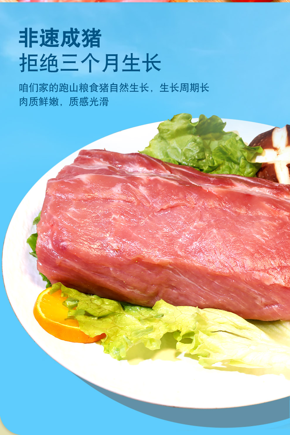 跑山密水农家国产里脊新鲜土猪肉生鲜通脊肉500g1斤