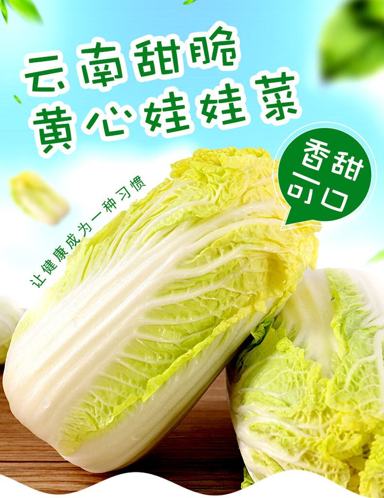 娃娃菜小白菜5/8斤黄心娃娃菜小型白菜四季蔬菜 8斤