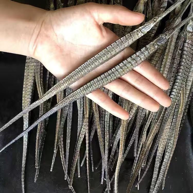 【海马海龙干货】新晒大海龙大刁六角海龙 海产干货中药材泡酒料打粉