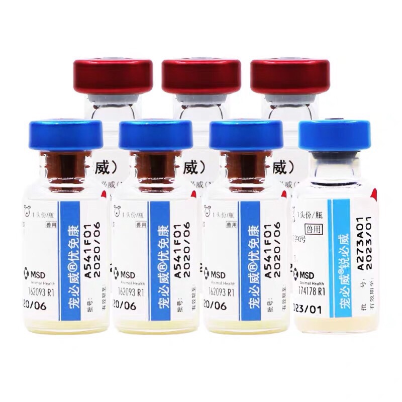 英特威进口小狗疫苗四联狂犬苗宠物狗狗育苗通用疫苗幼犬套餐