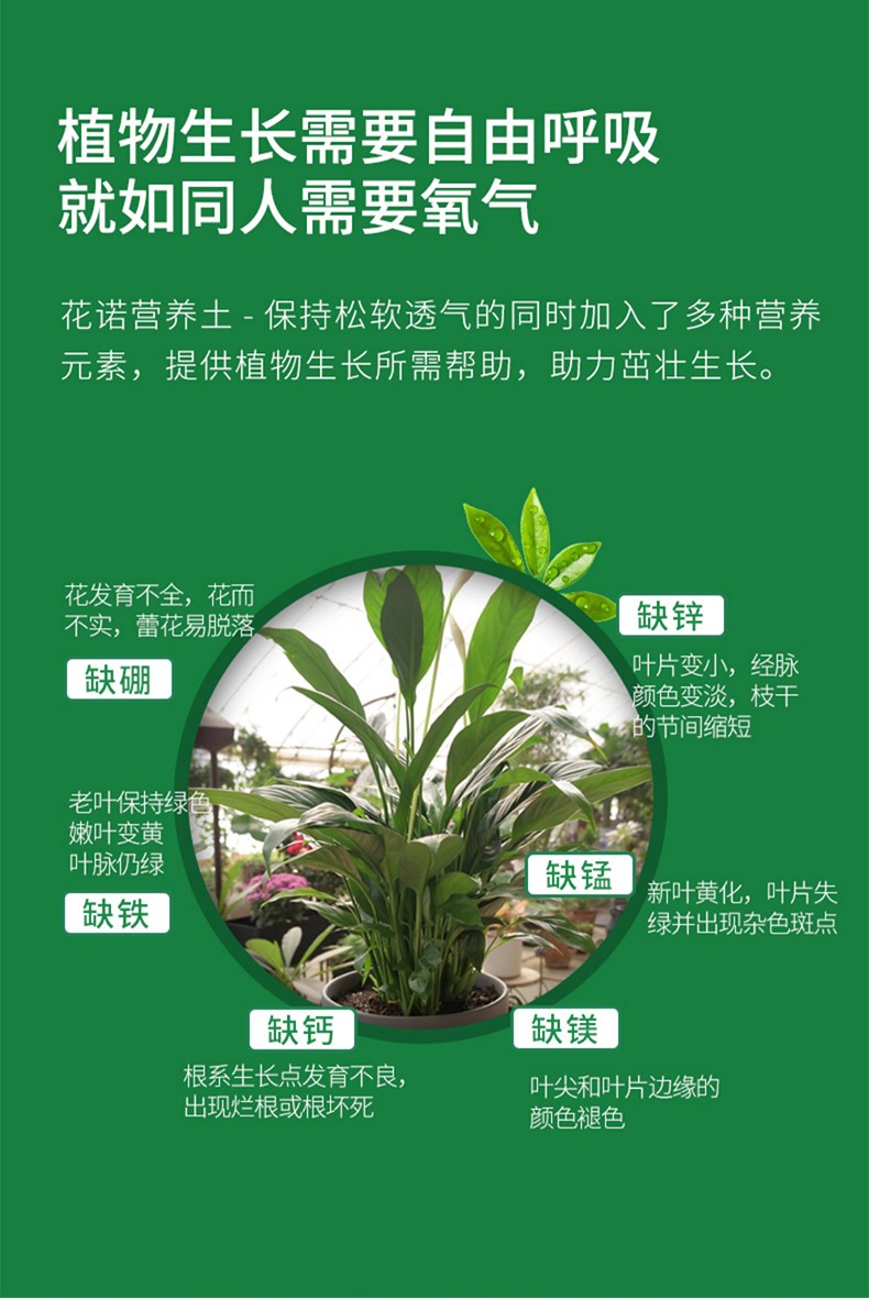 备能营养土养花土种菜土椰砖土种植椰糠土壤通用鸡粪肥发酵家用果蔬