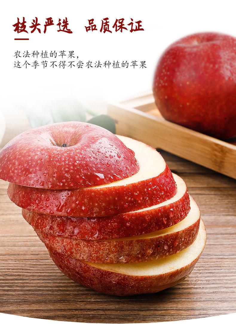 【精选s级】陕西秦冠苹果红富士3-10斤装水果新鲜批发整箱粉面刮泥