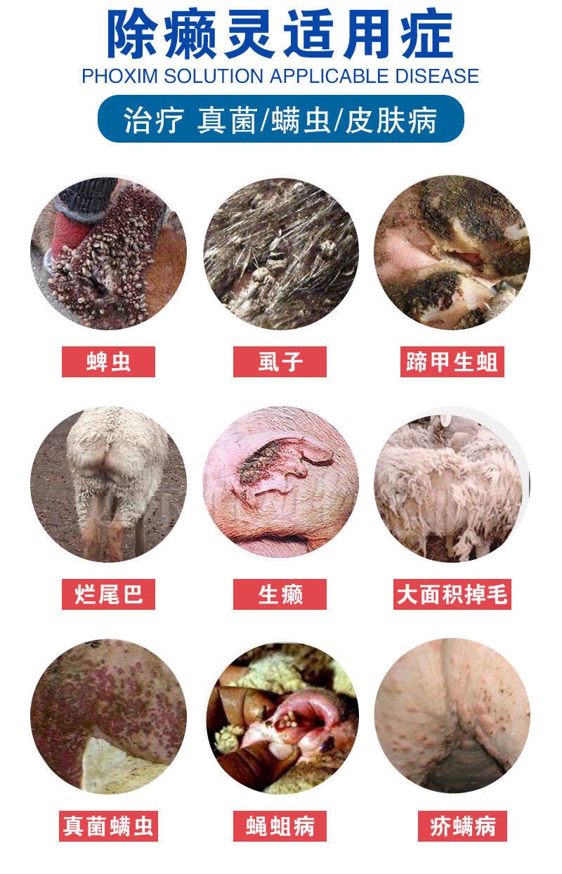 兽药兽用除癞灵猪牛羊鸡鸭驱除虱子跳蚤螨虫蜱虫蚊蝇辛硫磷溶液皮肤病