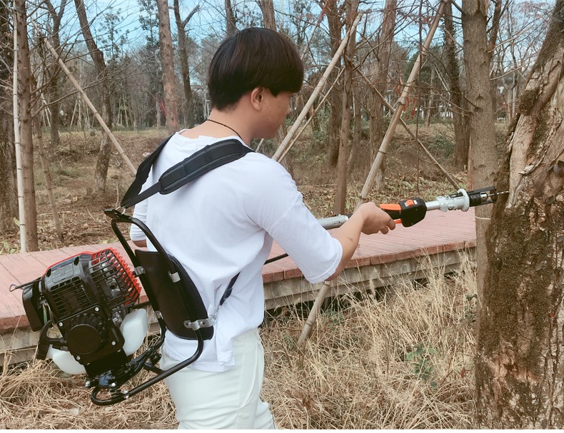 捷鸿背负式果树打孔注药机农药消杀毒机杀菌虫害注射营养液机四冲果树